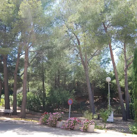 Apartment Guardamar Playa
